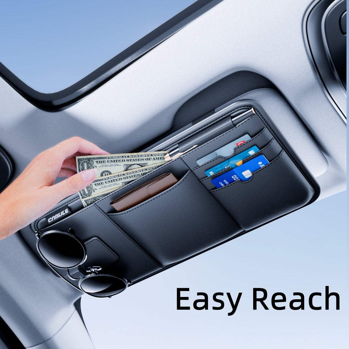 Car Sun Visor Organizer Bag for Sunglasses and Cards, Leather, Black